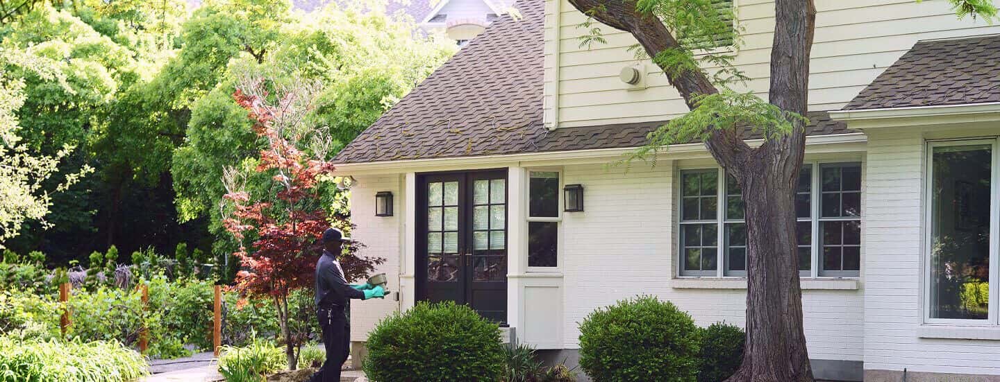 Residential pest inspection