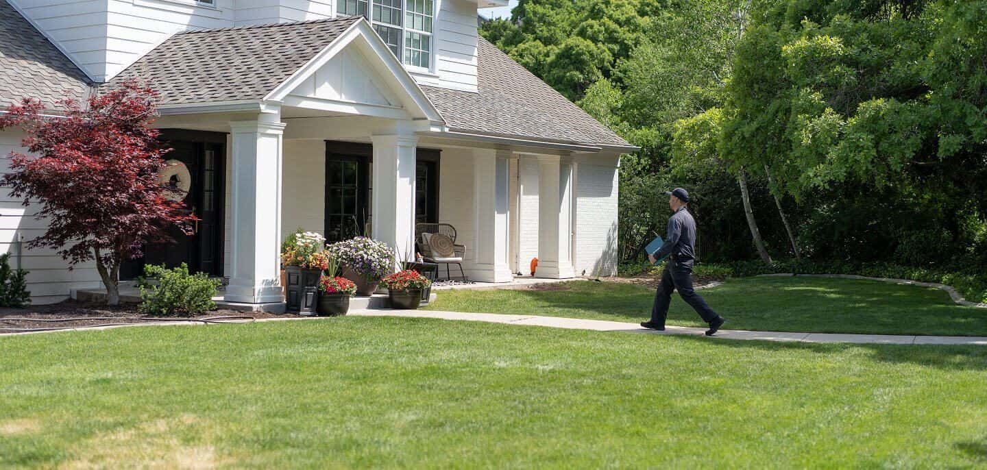 Pest Library Background