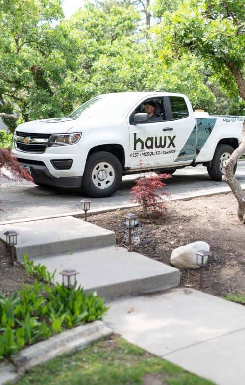 green-background-texture-mobile