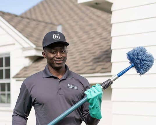 Ant activity around the home