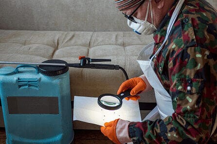 Pest control service in action