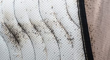 Dots on mattresses or bedding