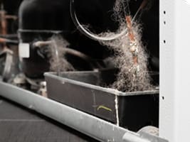 Behind and under refrigeration and shelving units