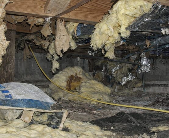 Before fixing crawlspace