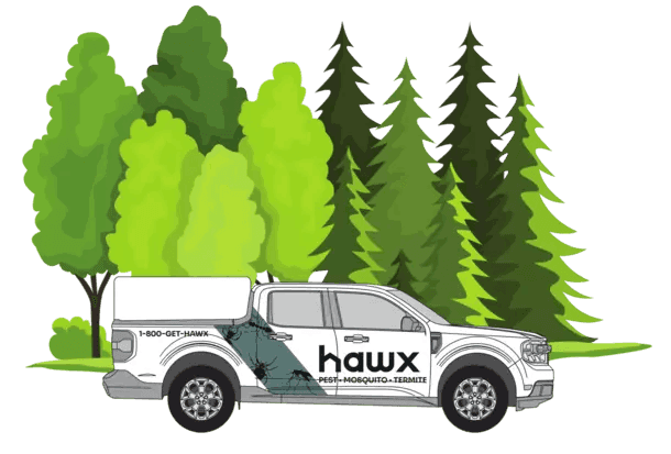 Hawx truck surrounded by trees illustration