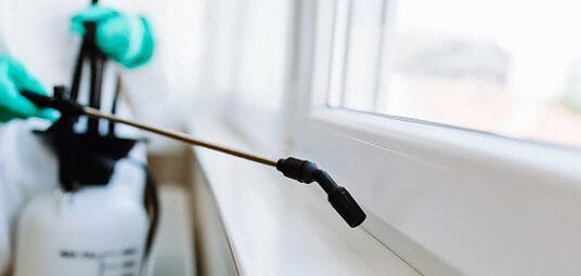 Ant activity around the home