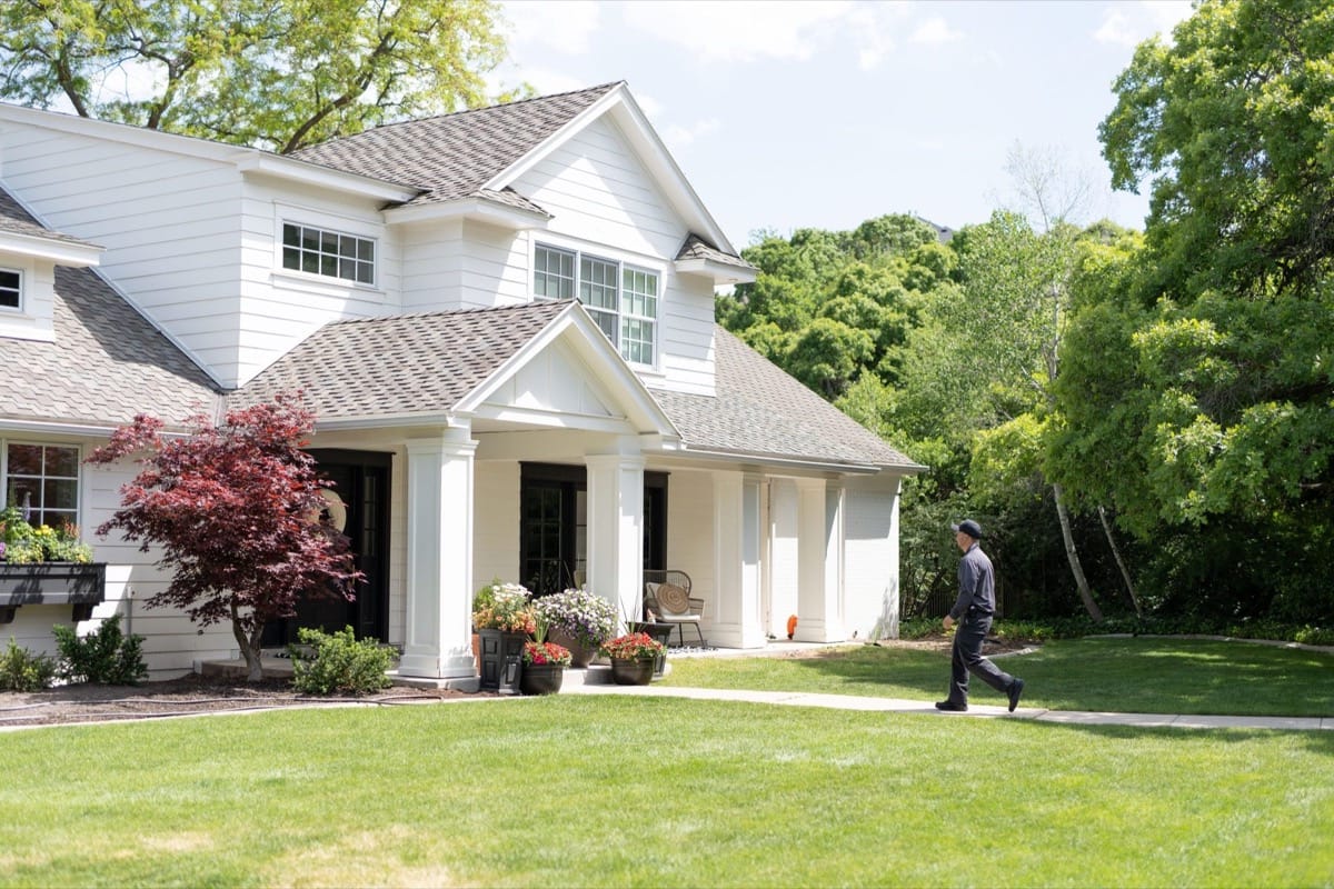 Jumping spider perched on a surface