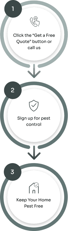 Three steps to a pest free home
