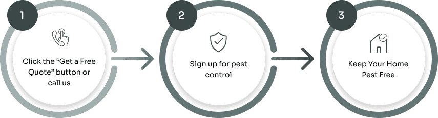 Three steps to a pest free home