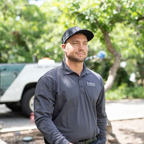 Rats nesting in attic wooden beams